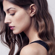 Charger l'image dans la galerie, boucles d'oreilles brook Chic Alors !